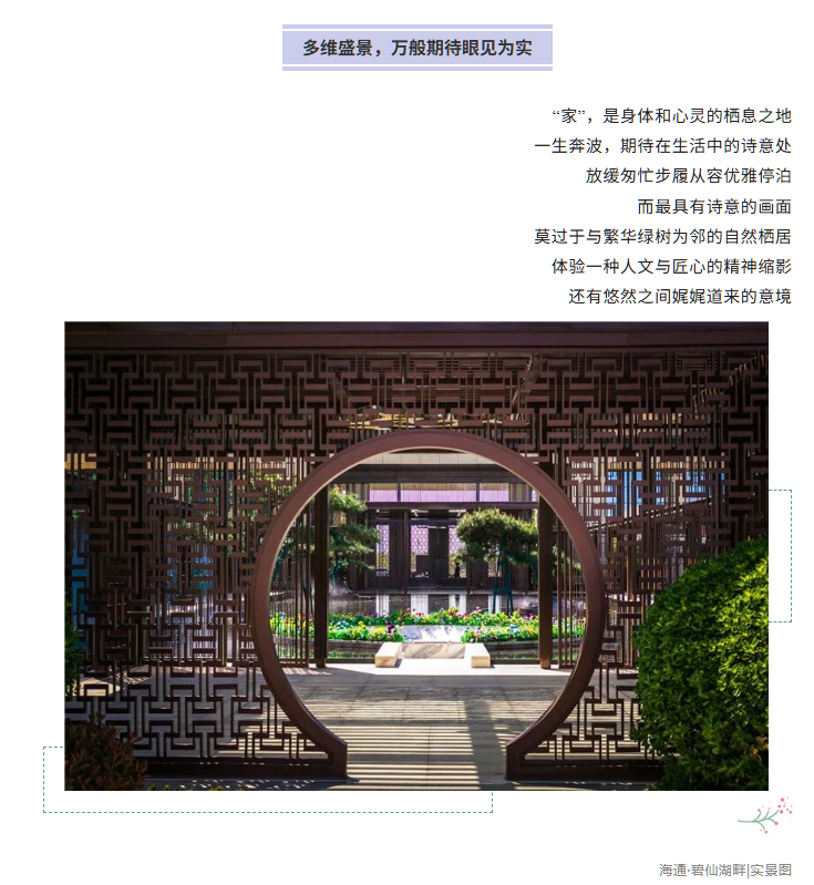 05.png