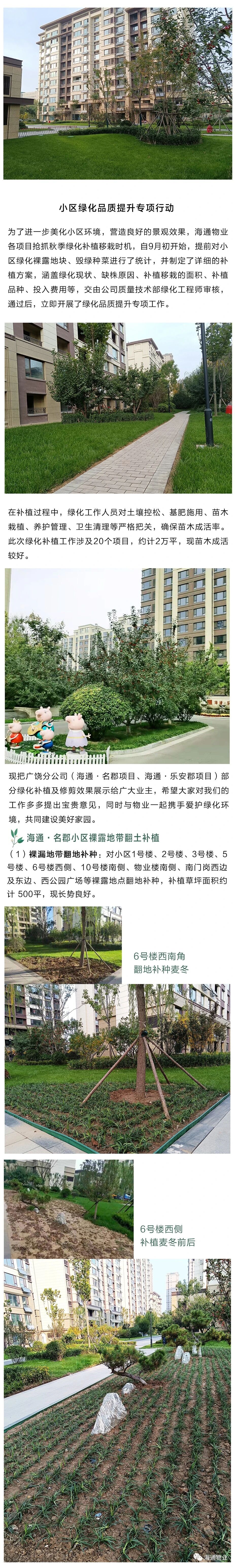 70.jpg