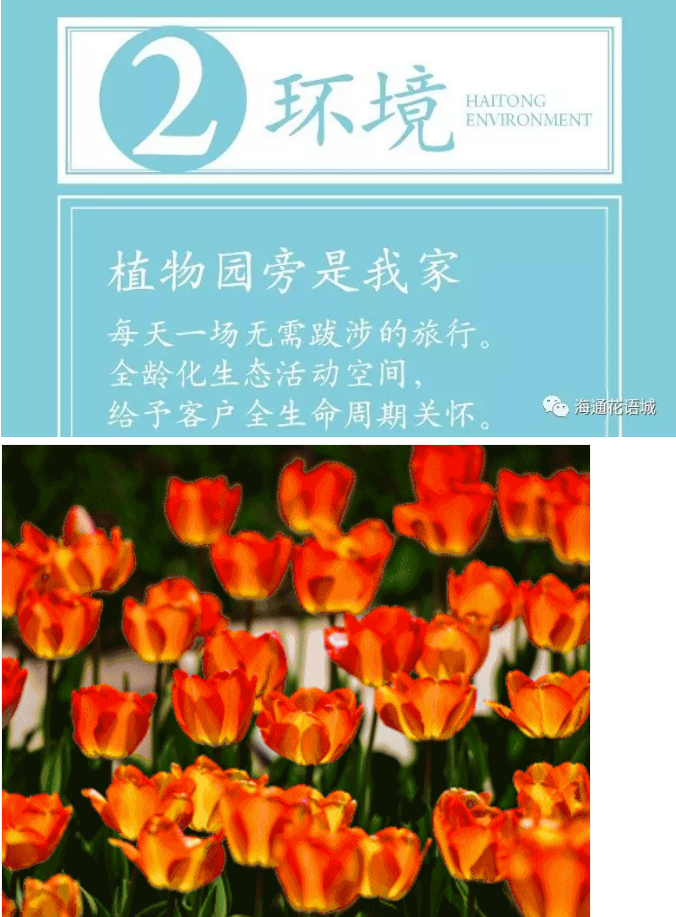 18.png