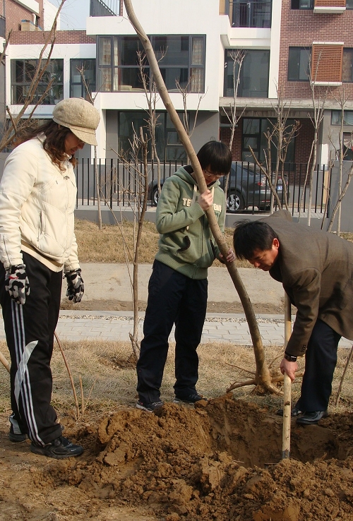 08.jpg