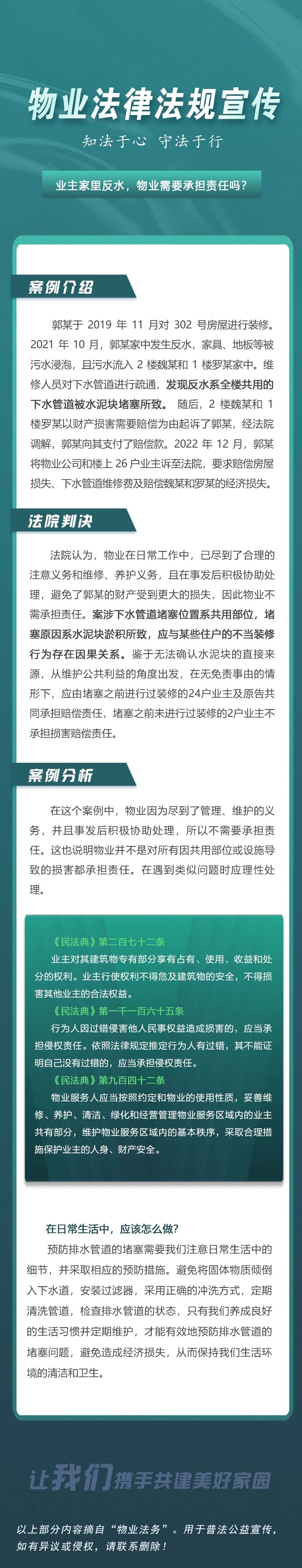 19.webp